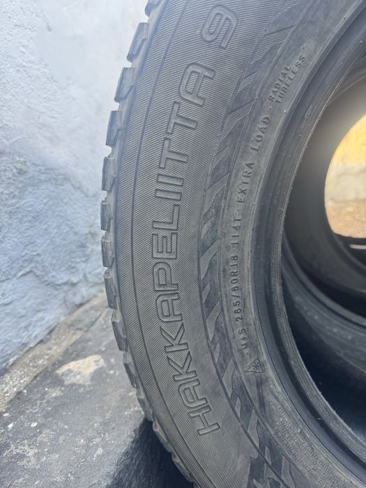 Ризина зима Нокиан