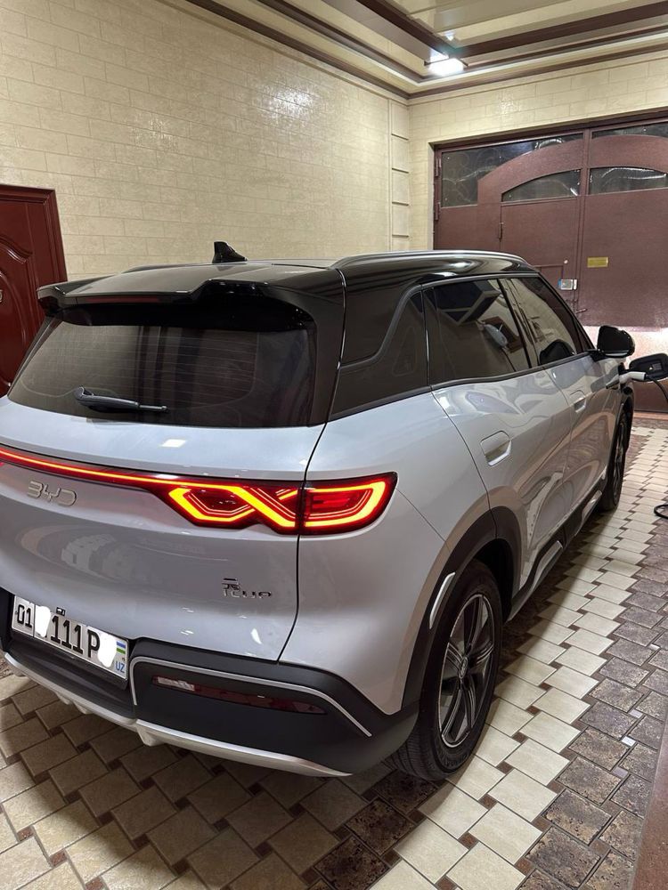 Byd yuan up 2024