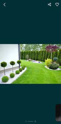 Sistem de irigare - amenajare grădina-arbori ornamentali-gazon