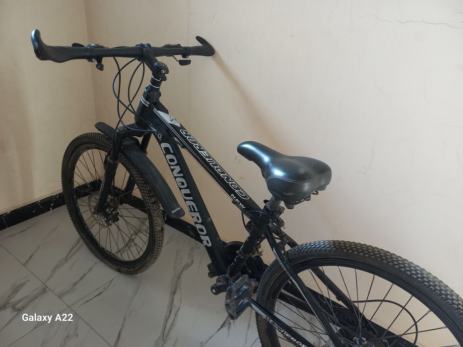 Велик спортивный