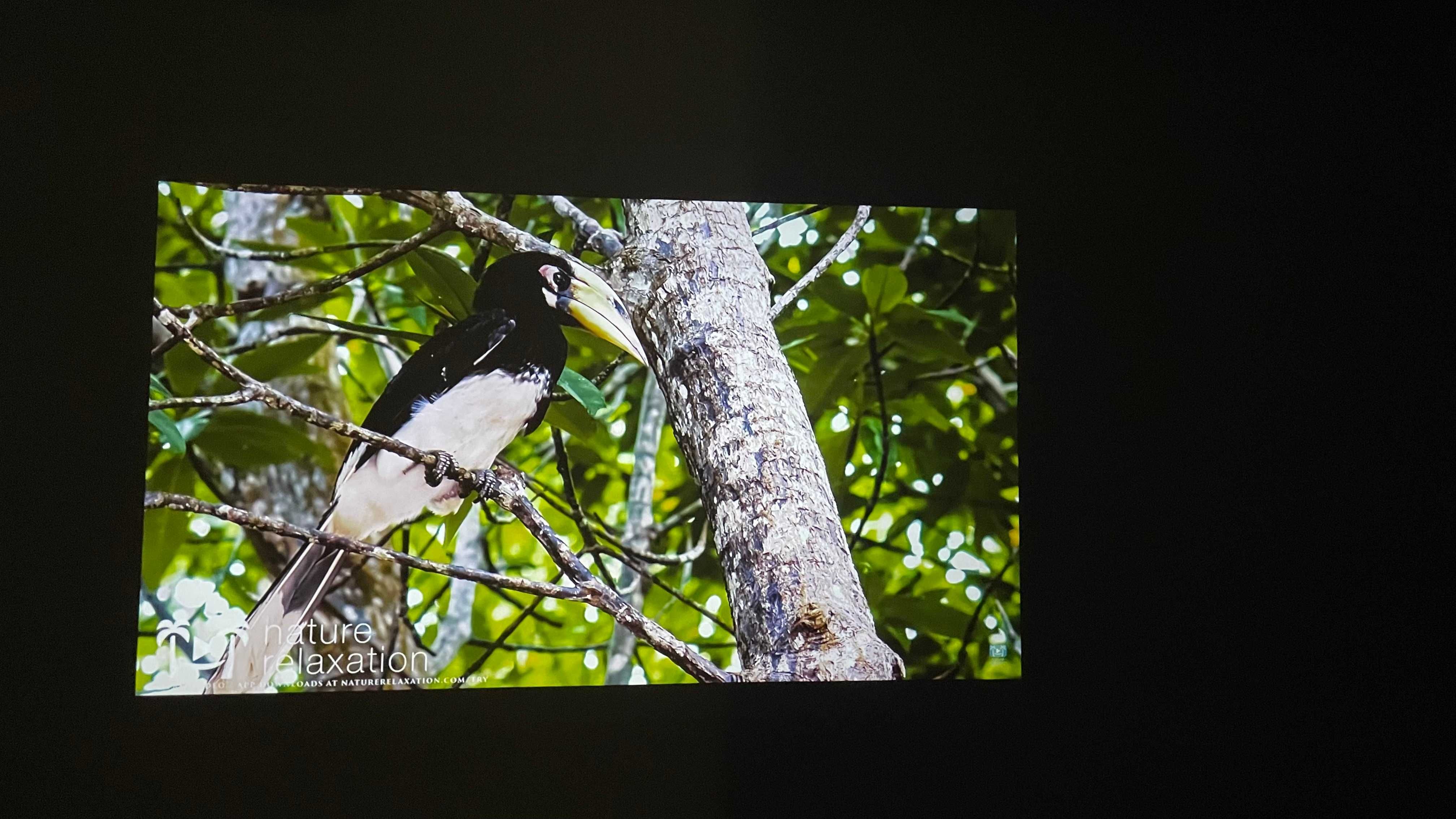 Проектор Optoma W355 DLP HD