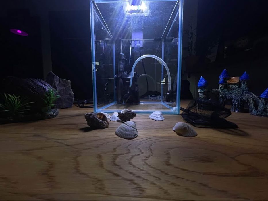 Acvariu Aquael Shrimp 7L + accesorii