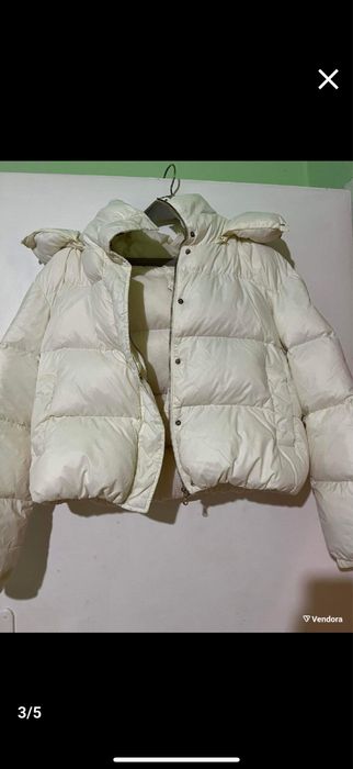 Малко протмоне черни