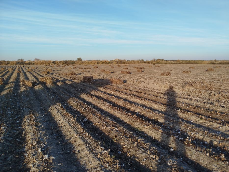 G'o'za poya,hezum,pres,прес