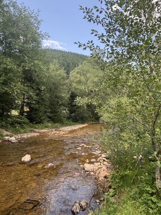 Vând teren, sat Ciurtuci, Beliş (în apropiere de lacul Belis)
