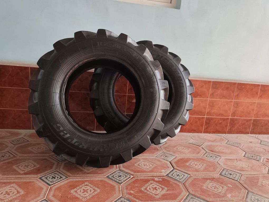 Nortek Balon Vidyushiy