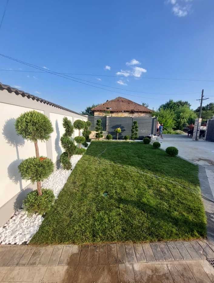 Gazon Rulou Verde Intens, Livrare Rapidă