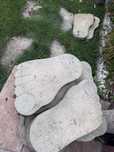 Pavele gradina 15 bucati