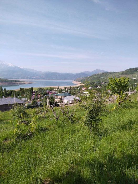 15 гектаров земли у водоёма Чарвак — для выращивание фруктов и овощей