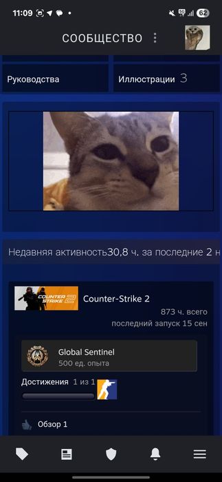 Steam ak|| Prime cs2