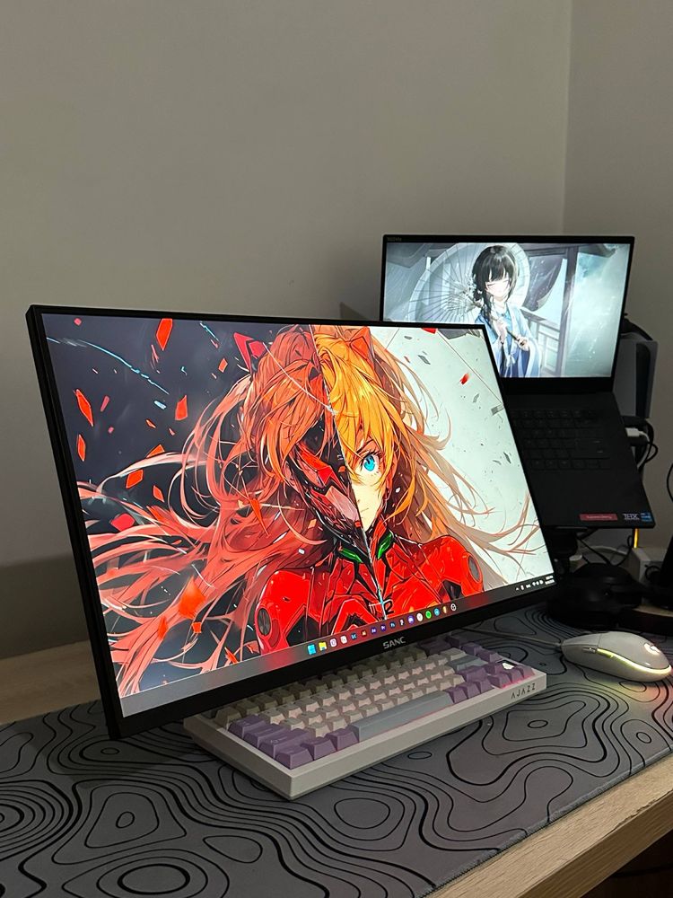 Игровой монитор SANC M2433PA (165 Гц, IPS, 23.8″) + кронштейн NB F80
