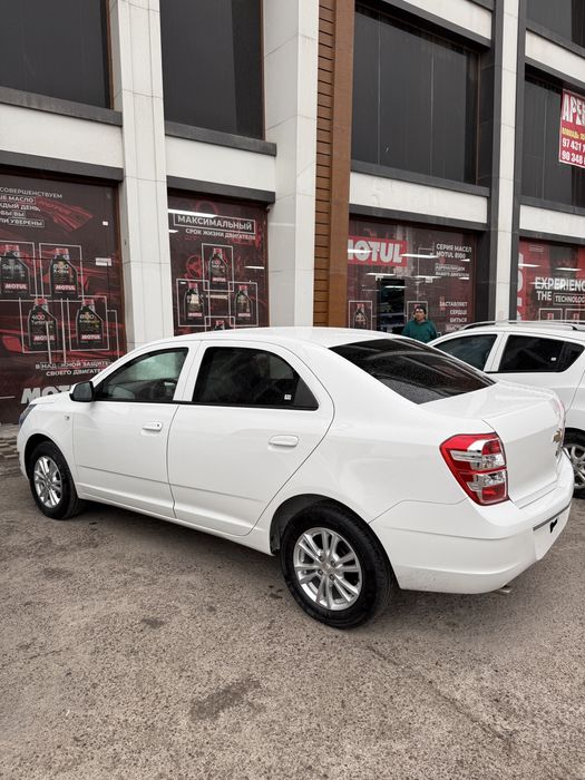 Cobalt GX Style MCM plus orginal 2026 masla