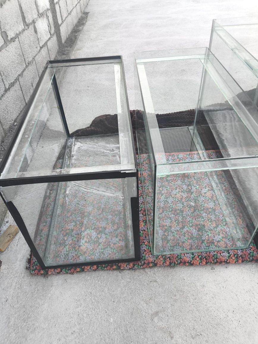 Akvariumlar sotiladi 180 litrli 06 li oynedan qilingan