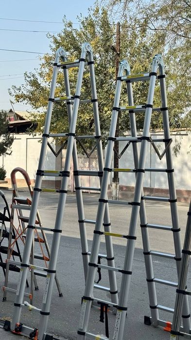 Narvon (леснитсы)