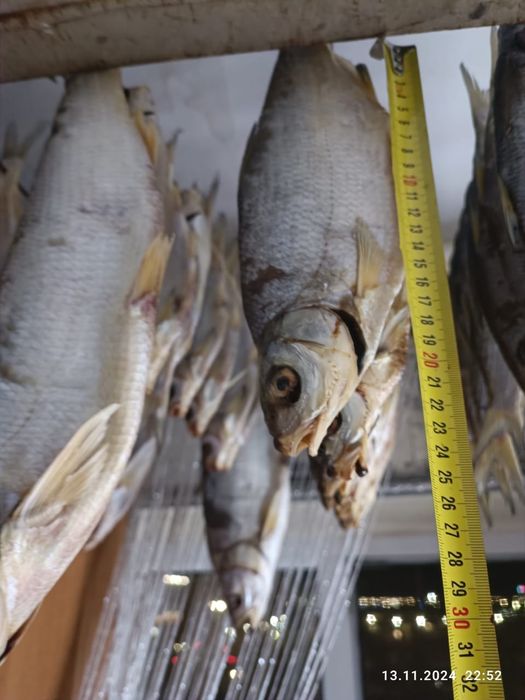 Продам сухую,вяленную рыбу