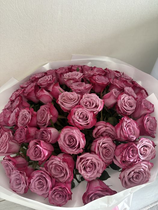 Розы розовые, 61 шт
