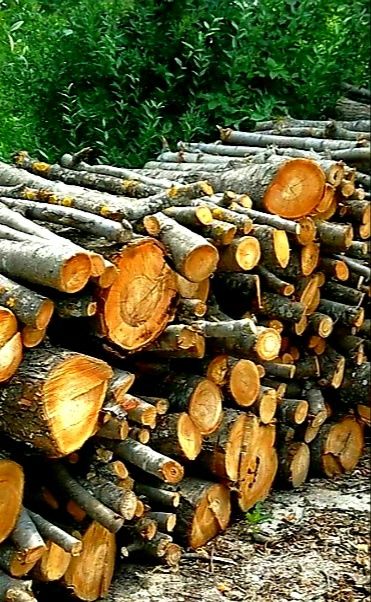 Продам дрова из яблонь, груш, сливы, вишни для изумительного шашлыка