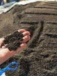 Vermicompost Biohumus