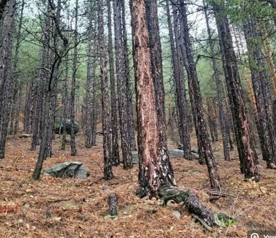 Продавам къща 192 м2 с. Мърчаево, София