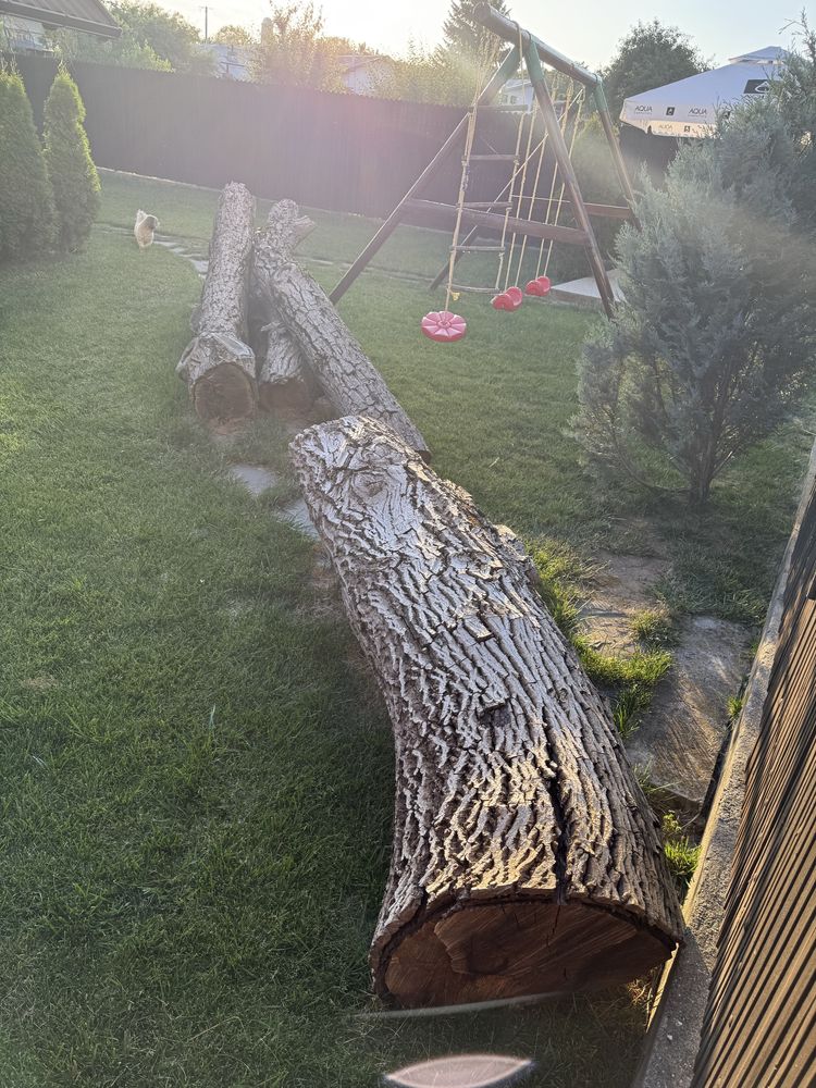 Nuc taiat de vanzare