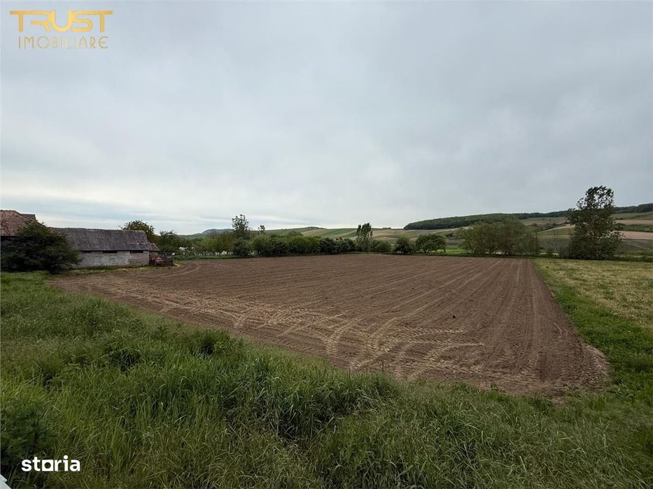 Teren intravilan de vanzare l 7500 MP l Aschileu Mare