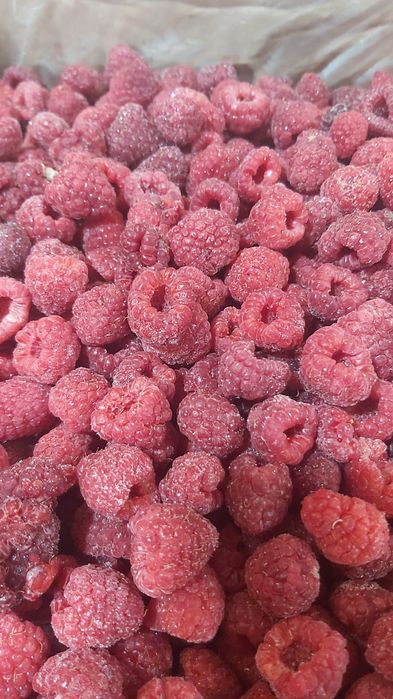 Малина замороженная