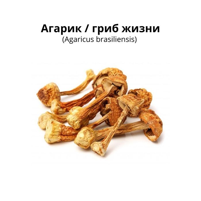 Агарик бразильский 50гр - 6000тг