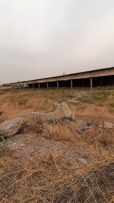 Срочно продаётся Туйтепа Нурафшон 4 5-гектар коммерческие помещения