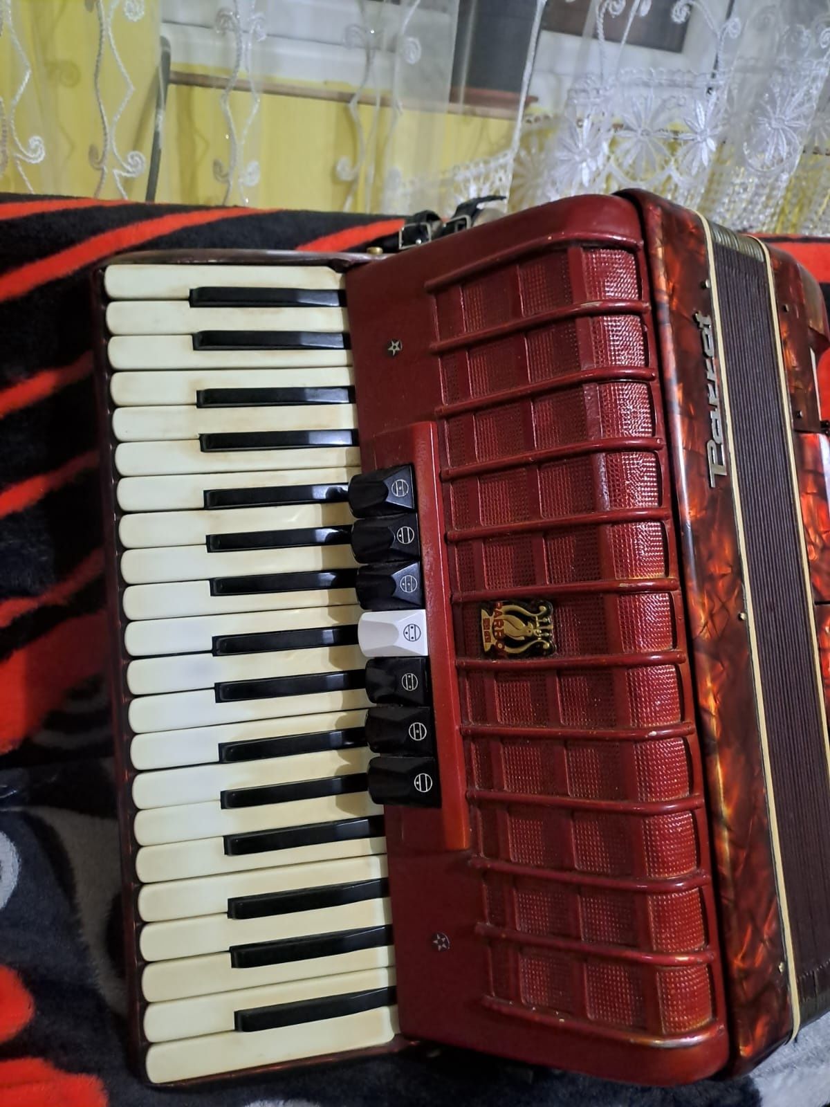 Acordeon Parrot de 80 de bași