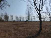 Парцел в с. Крапец, на метри от морето