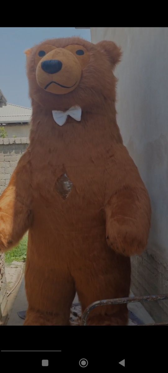 Ayiqlar teddi quyon sotiladi yangii
