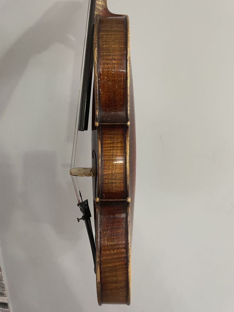 Nicolaus Amatus violin