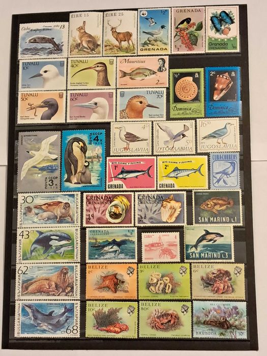 Пощенски марки тема ”Животни”.