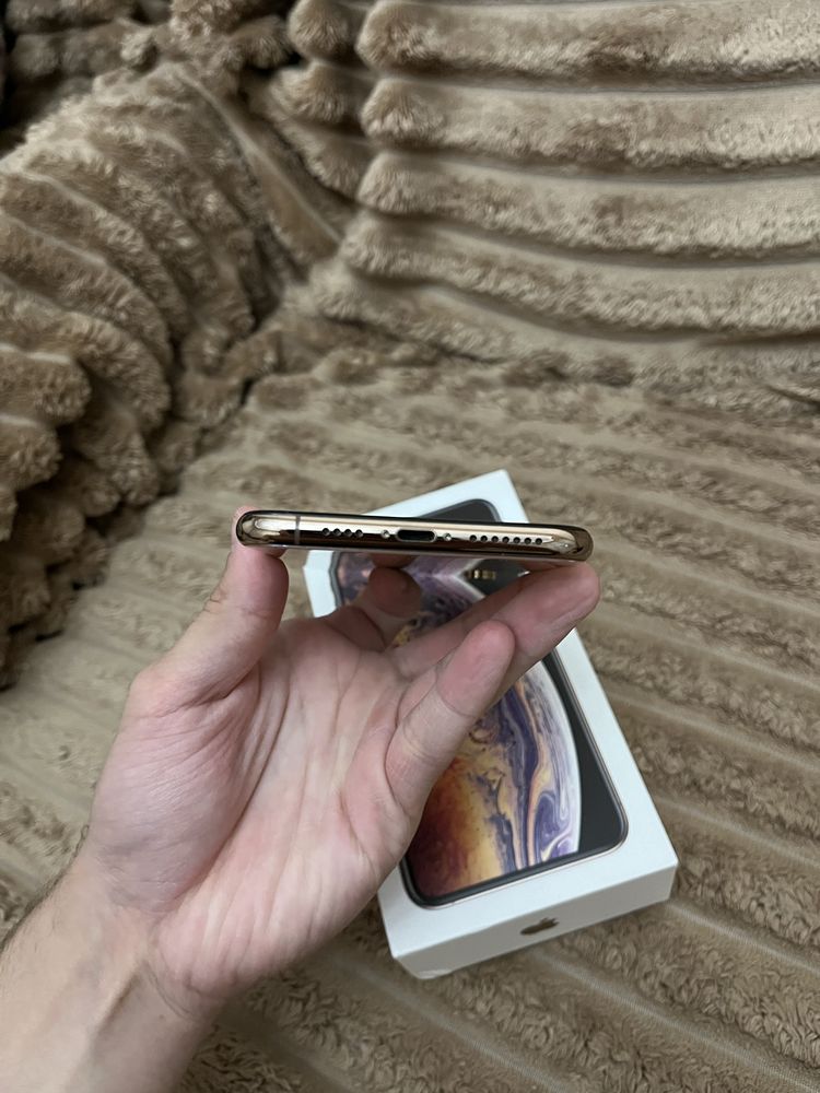 Iphone Xs Max 256gb 100%