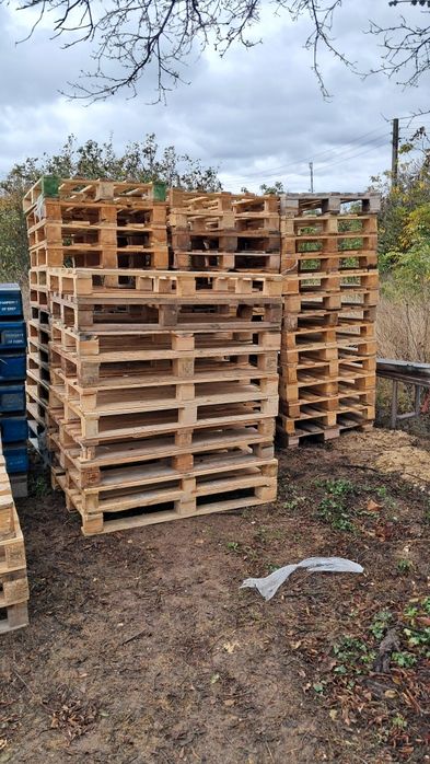 Продавам скари 120/80 см.