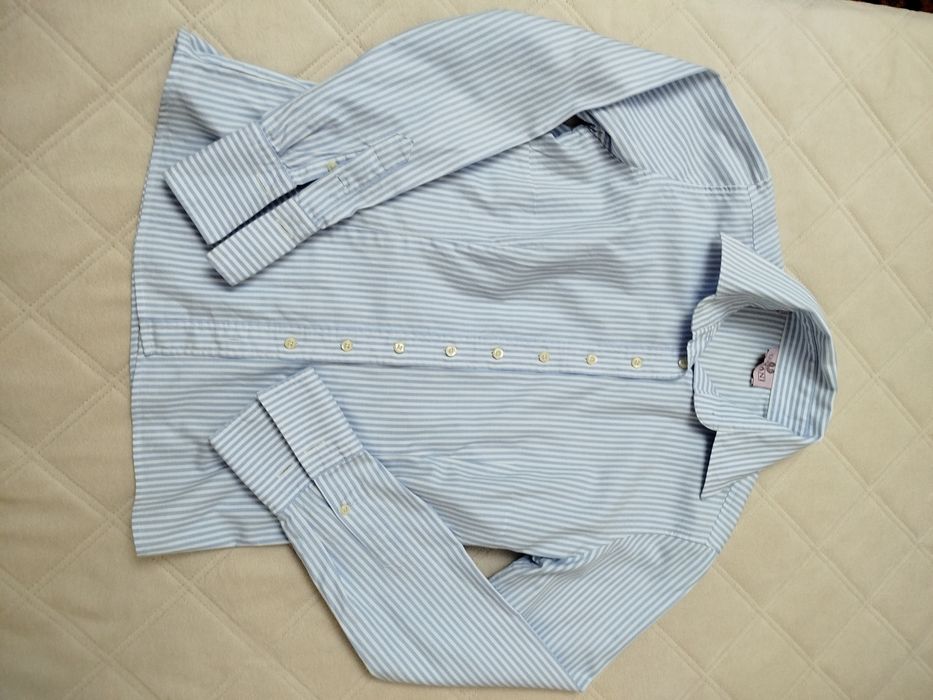 Лот офис ризки синя гама