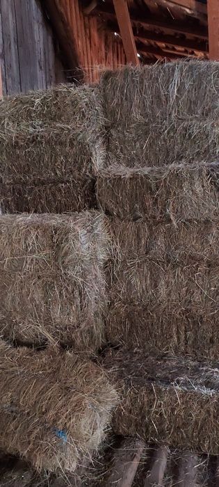 Baloți de lucernă, fân dreptunghiular,rotund!