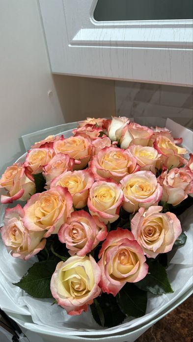 Розы красивые …………