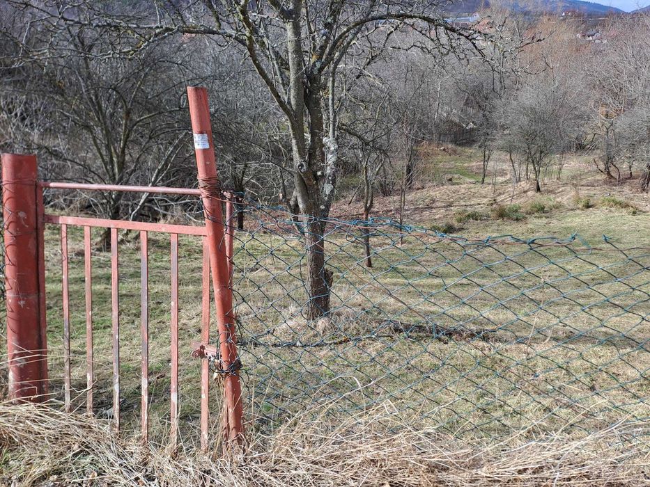 Teren INTRAVILAN Fantanele