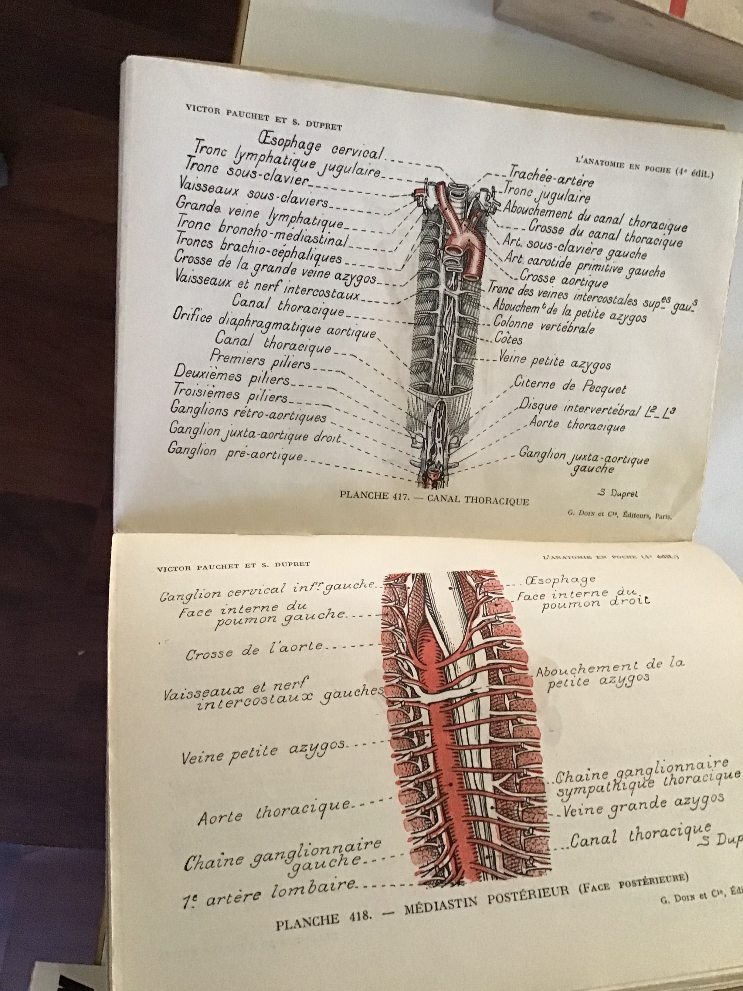 Carte de anatomie ( Anatomie en poche)