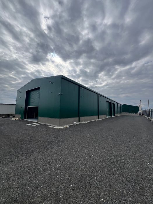 Hale de inchiriat Ovidiu Constanta / Langa autostrada A4