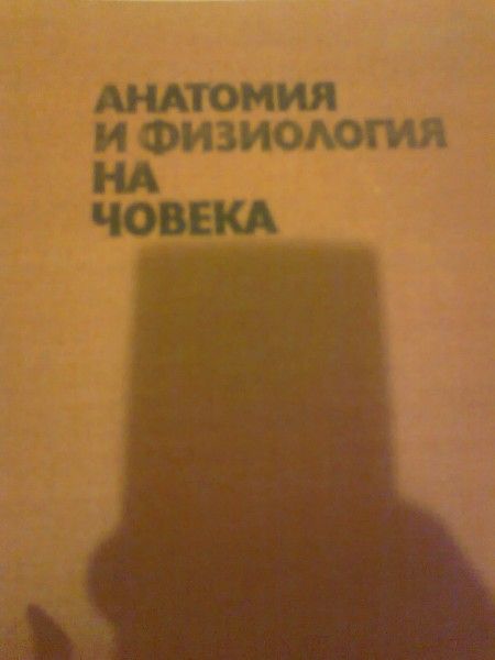 Анатомия и физиология на човека