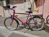 Bicicleta dama mov