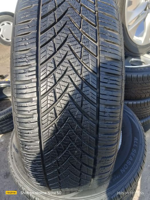 Epikaga  arginal r16 disk