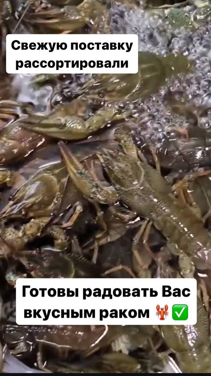 Раки по супер ценам