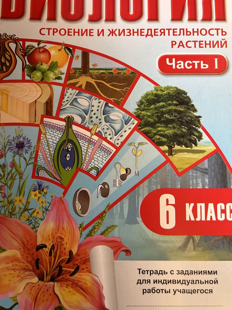 Атласы для 6 класса