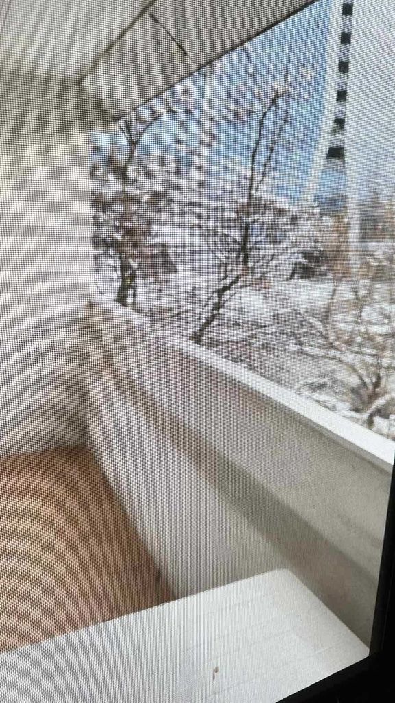 Дава се под наем Тристаен апартамент в София, Дианабад - 80 кв.м за 650 € - Снимка #8