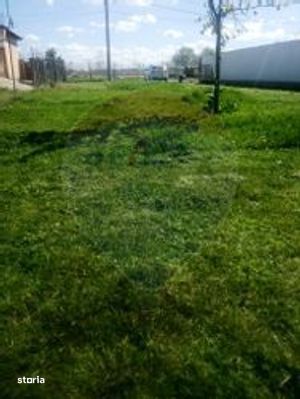 Teren intravilan in Pecica