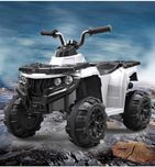 Mini ATV electric Panda BB3201 25W STANDARD #Alb