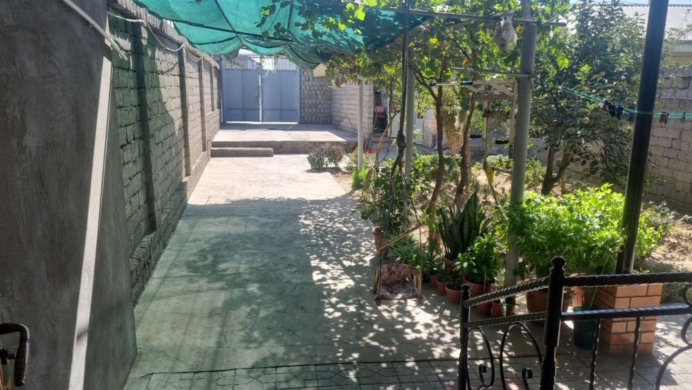 Hovli sotiladi yol yuzida